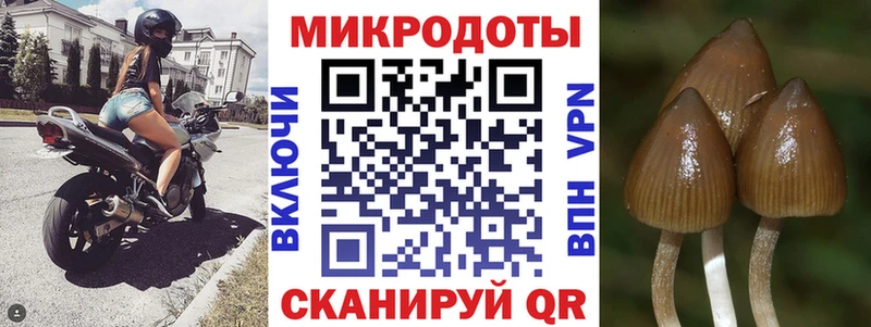 Псилоцибиновые грибы мицелий  Новозыбков 