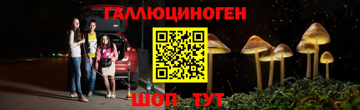 Галлюциногенные грибы Cubensis Новозыбков