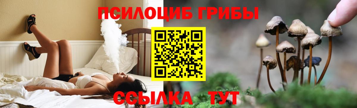 Галлюциногенные грибы прущие грибы  Вход с VPN  Псилоцибиновые грибы прущие грибы  Новозыбков 
