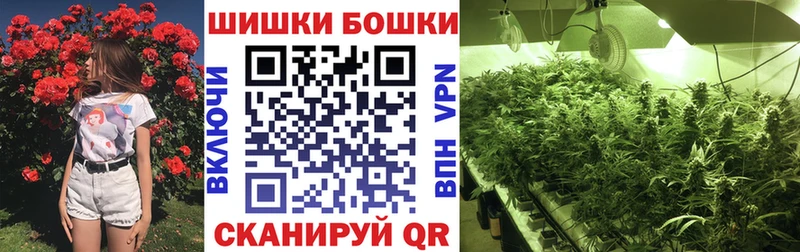 Бошки Шишки OG Kush  blacksprut ссылки  Новозыбков  где купить наркоту 