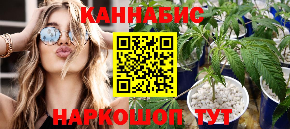 Каннабис план  Бошки марихуана гибрид  Вход с VPN  Новозыбков 